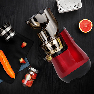 Slow Juicer-ZZJ830L